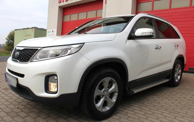 Kia Sorento cena 64900 przebieg: 173000, rok produkcji 2014 z Brusy małe 742